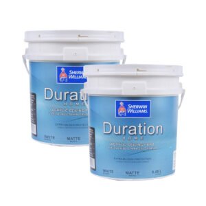 Látex Cielosrrasos Duration Mate Blanco 18,9 Litros