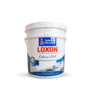 Látex Exterior Loxon  Mate Blanco 9 Litros
